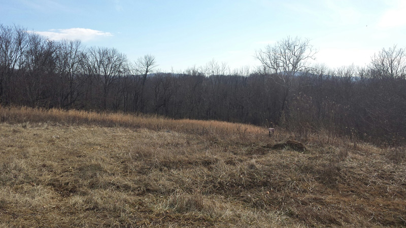 Perfect Lots for your Perfectly New Custom Home in Frederick County, MD!
